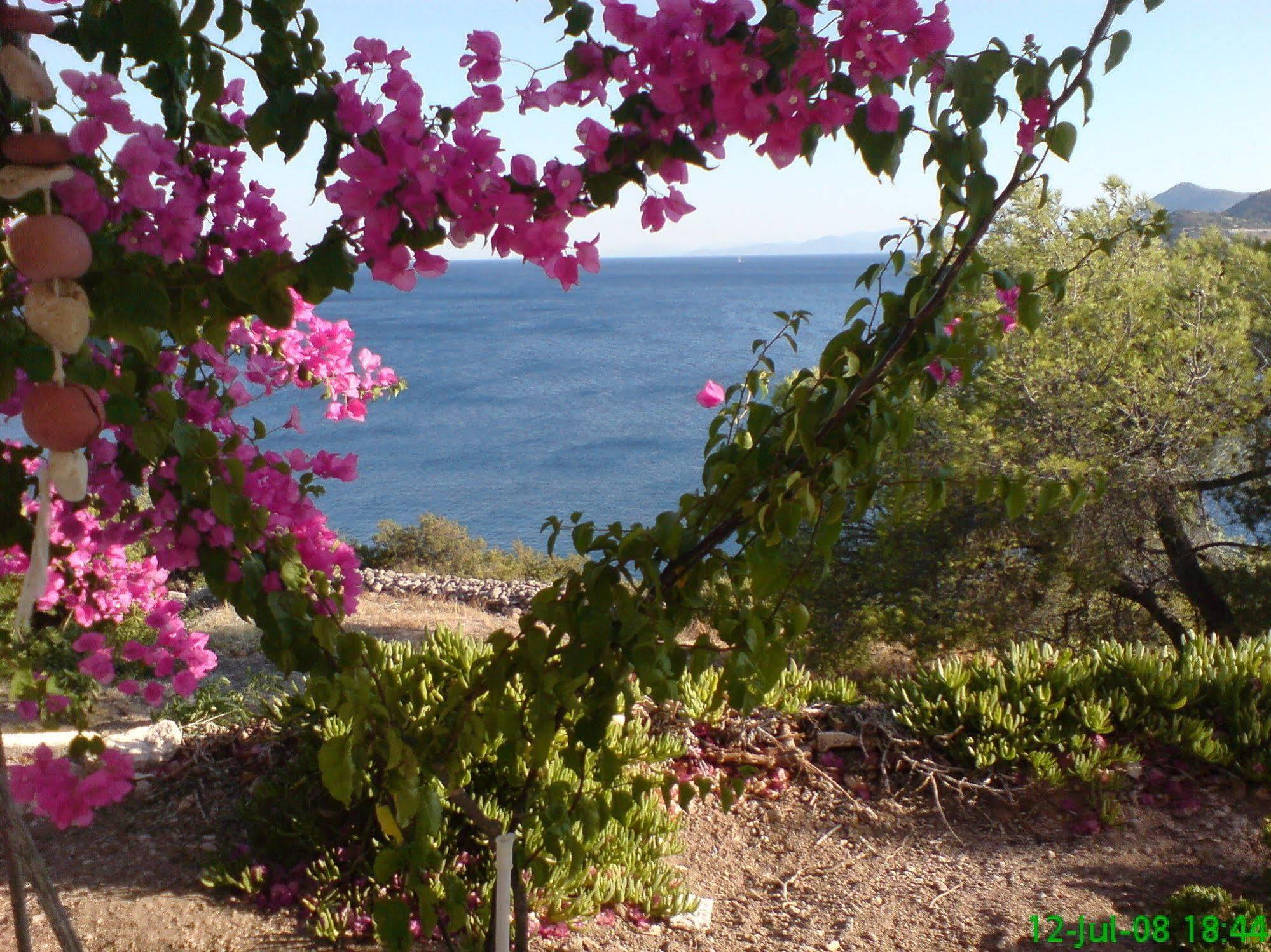 Kavos Bay Seafront Hotel Agia Marina  Zewnętrze zdjęcie