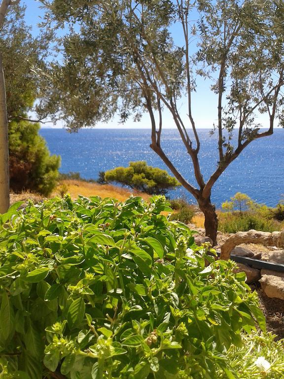 Kavos Bay Seafront Hotel Agia Marina  Zewnętrze zdjęcie